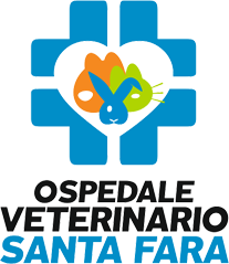 Ospedale Veterinario Bari