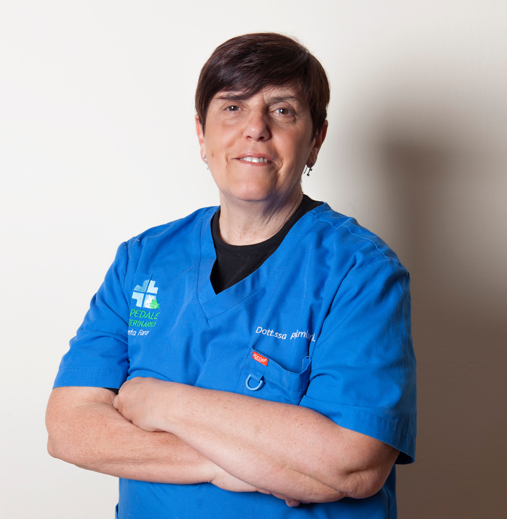 Angela Palmisano Angela Palmisano, medico veterinario dell'Ospedale Veterinario Santa Fara a Bari