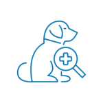 Icona del servizio di dermatologia veterinaria