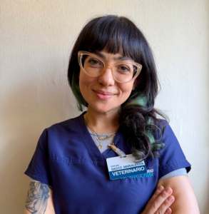 Marialessia Sacco, medico veterinario dell'Ospedale Veterinario Santa Fara a Bari