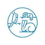 Icona del servizio di medicina veterinaria per animali non convenzionali, come conigli, iguana, rettili, uccelli, piccoli mammiferi