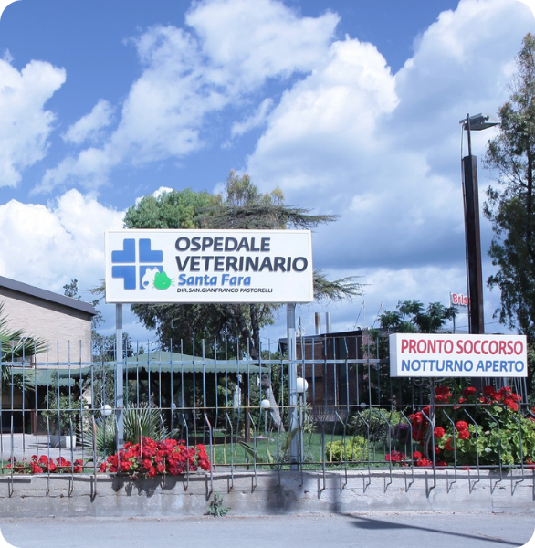 Ingresso dell’Ospedale Veterinario Santa Fara a Bari