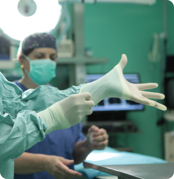 Preparazione del team in sala operatoria presso l’Ospedale Veterinario Santa Fara a Bari