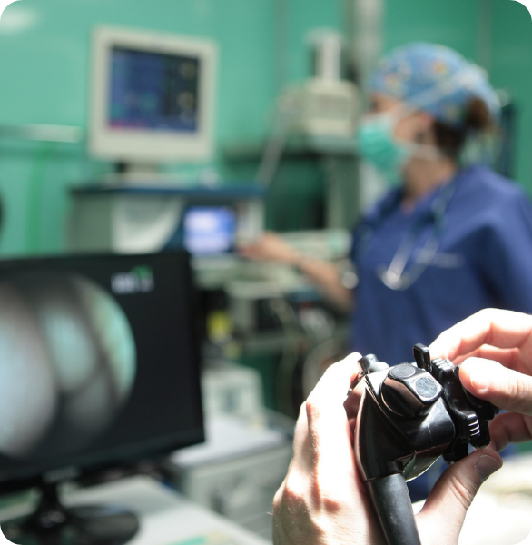 Strumentazione endoscopica per chirurgia mini-invasiva veterinaria presso l’Ospedale Veterinario Santa Fara a Bari