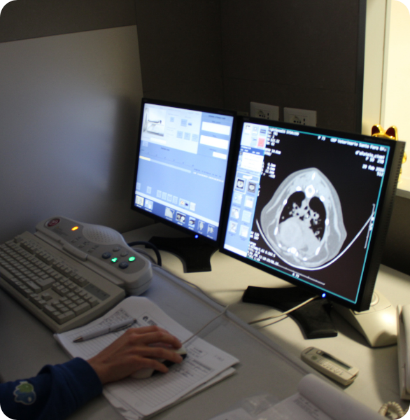 Postazione di controllo per TAC veterinaria Refertazione di un esame TAC veterinario presso l’Ospedale Veterinario Santa Fara a Bari